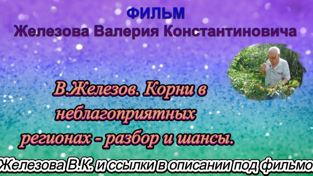В.Железов. Корни в неблагоприятных регионах - разбор и шансы.