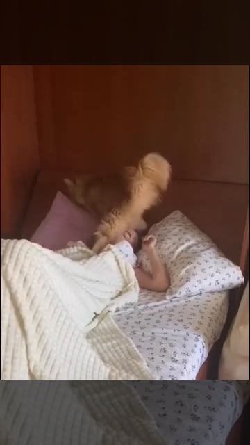 Подписывайтесь,будет интересно