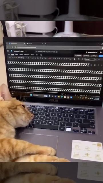 Читайте субтитры, я сплю.