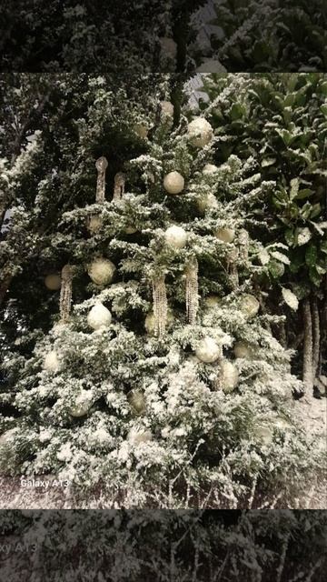 Декабрь 2025г. Москва, Театральная площадь.