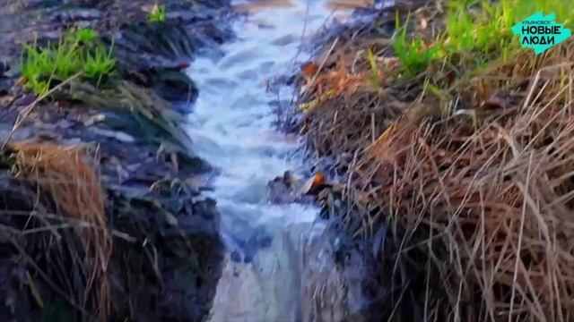 Свияга: грязная правда. Часть 4 Летом этого года партия «Новые люди» начали активную работу против