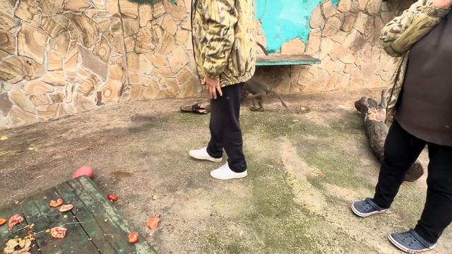 ЭТО ТАК СМЕШНО! Степка хочет сделать Люсю СВОЕЙ НЕВЕСТОЙ!