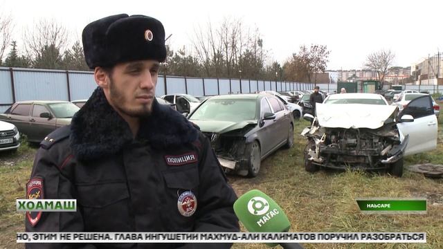 Зуламе вола водитель