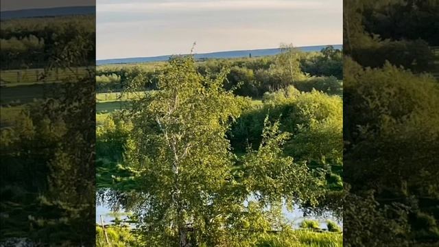 Көбөкөн вальса