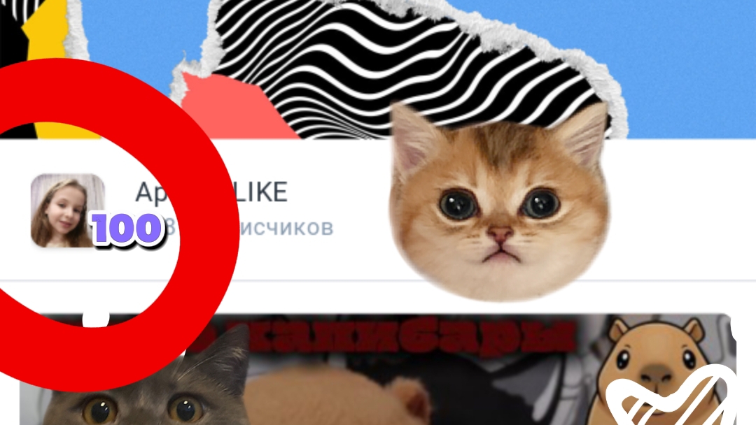 у нас 100 подписчиков 🥳🥳