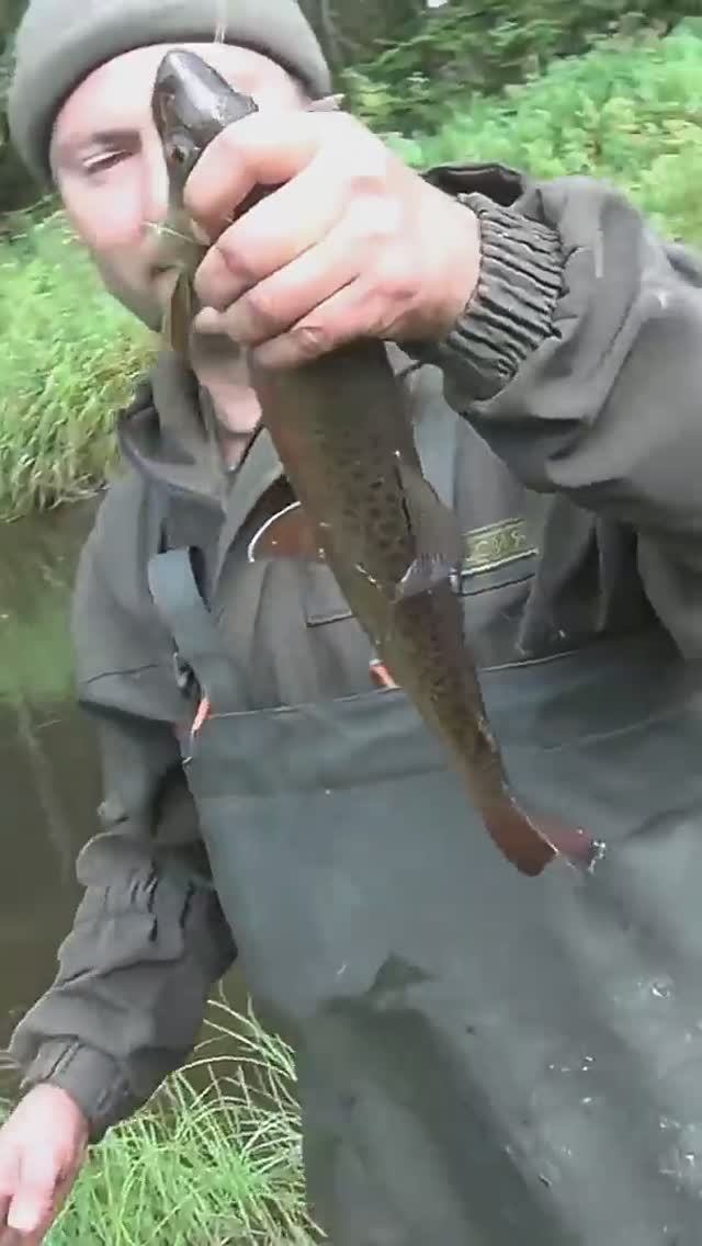 Жизнь ОТШЕЛЬНИКА Ловим Рыбу Ленок в ДЕВСТВЕННОЙ ТАЙГЕ Рыбалка 2025 Сухопит 5авг Охота Сибирь