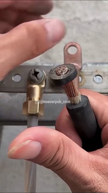 -7631962310692152215