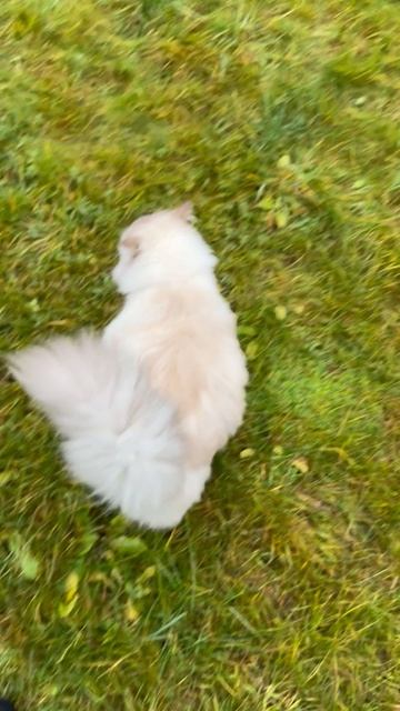 Охотник Платон ! Поймал только жабу 😱🤣