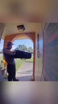 Белка 🐿️ на прогулке