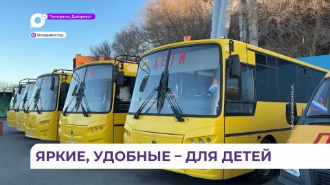 Сорок школьных автобусов пополнили автопарк Приморья