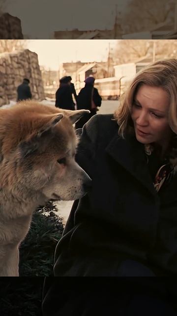 У него умер хозяин , он прождал его 9 лет на одном месте