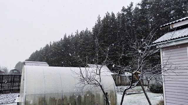 Фото к Зима на мгновение вернулась 🌨️ 🥰