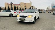 Toyota Corolla Fielder, 2002 год
