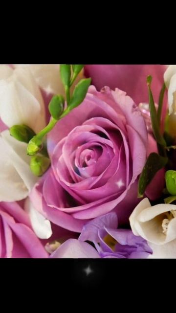 Люблю, больше всех на свете ❤️❤️❤️