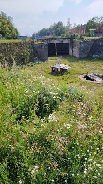 Парк Патриот. Разворотный бассейн. Кронштадт 2025