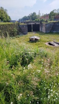 Парк Патриот. Разворотный бассейн. Кронштадт 2025