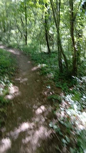 Иду к развилке тропинок в сторону Римской башни на Чёрном море в Архипо-Осиповке