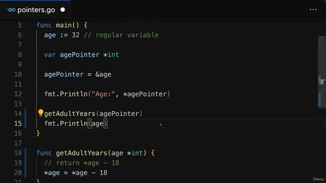 070 Using Pointers For Data Mutation