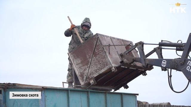Животноводческие хозяйства Калмыкии полностью готовы к зимовке