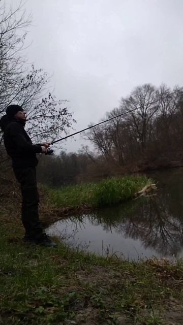 InShot_20251212_143352603.mp4