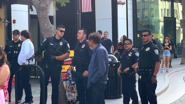 Красивое уличное выступление девушки скрипачки.