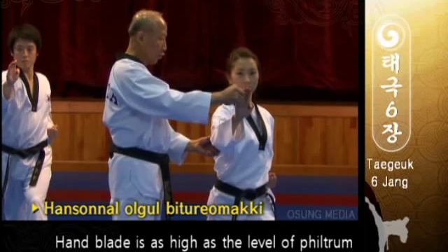 Taegeuk 06 Yuk Jang (Kyu Hyung Lee)