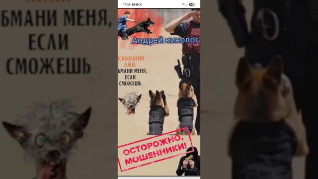 Евро-богатыри