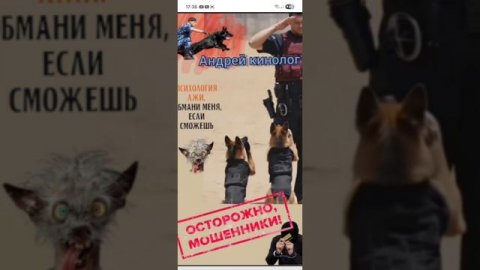 Евро-богатыри