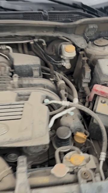 SUBARU FORESTER 2023