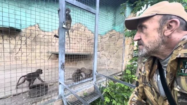 Вы ХОТИТЕ ПОСМЕЯТЬСЯ? Анфиса как маленькая Люська стдит у папы Влада, только не на шее, а на спине)