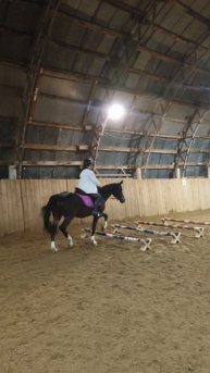 Даша и Флейта, отличное кавалетти в манеже.