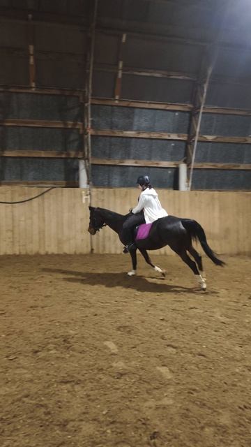 Даша и Флейта, галоп по стенке в манеже.