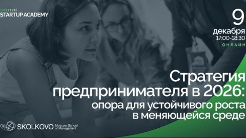 Стратегия предпринимателя в 2026 году