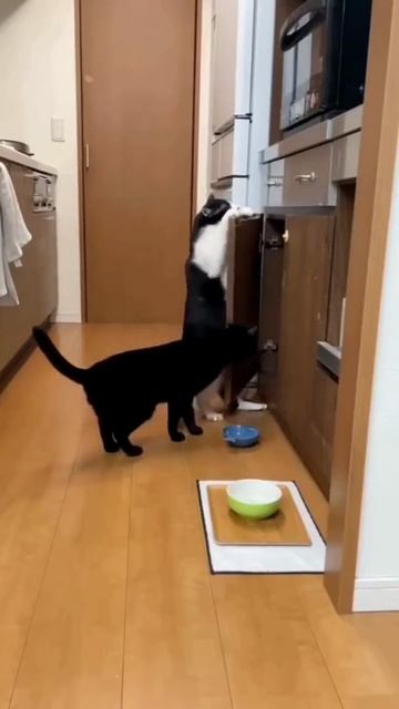 День открытых дверей 😁😂🤣