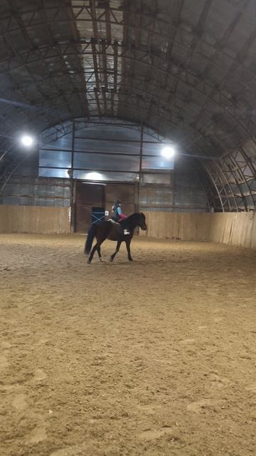 Аня и Аквилон, замечательный десятиметровый вольт на Е в манеже.