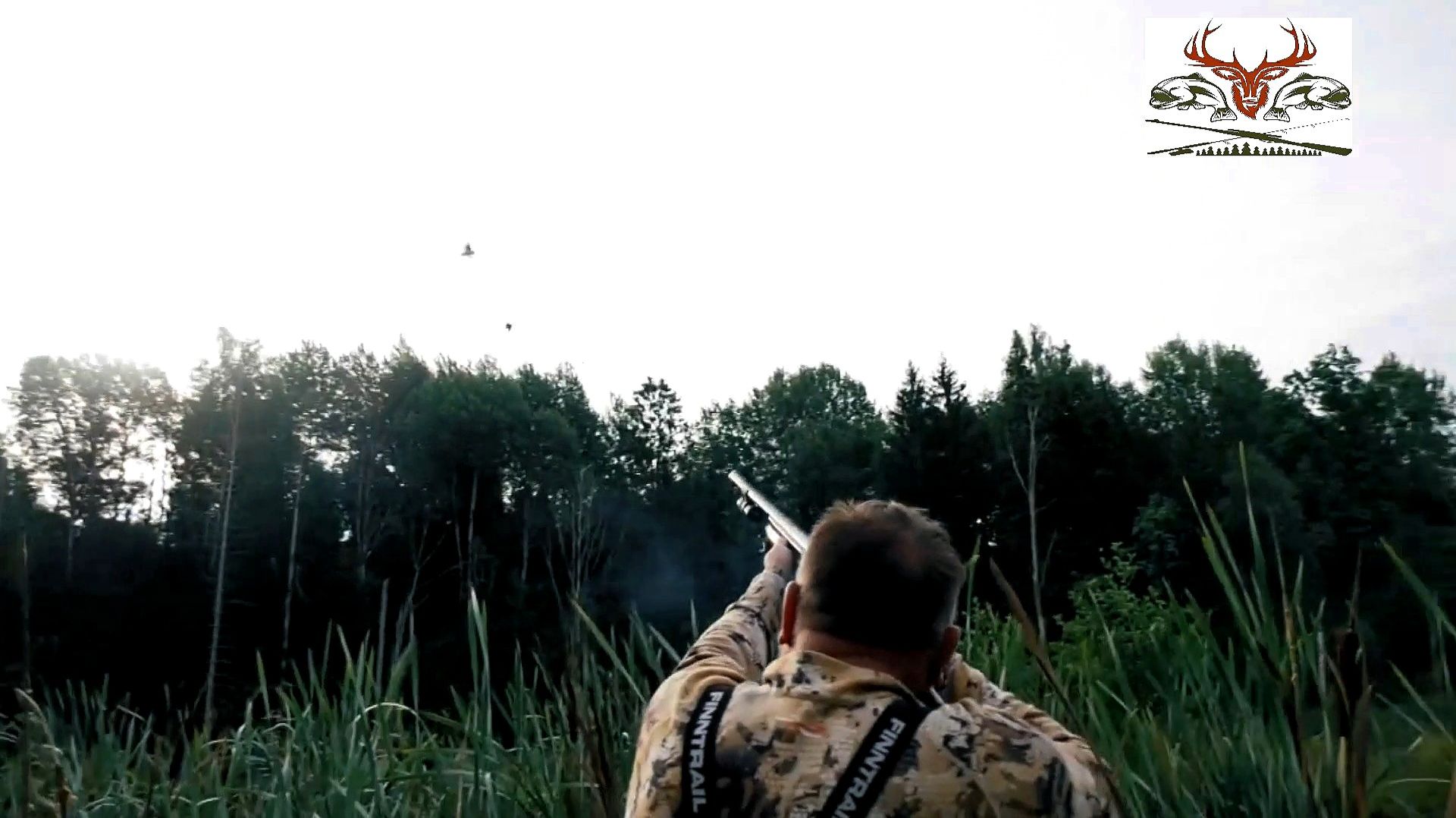 Охота на утку