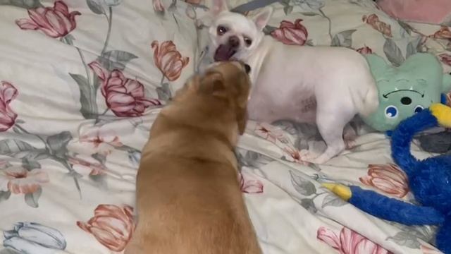 Доброго всем утречка и чудесного начала дня.