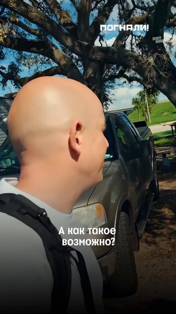 Американцы бы позавидовали твоей однушке в Бирюлёво...