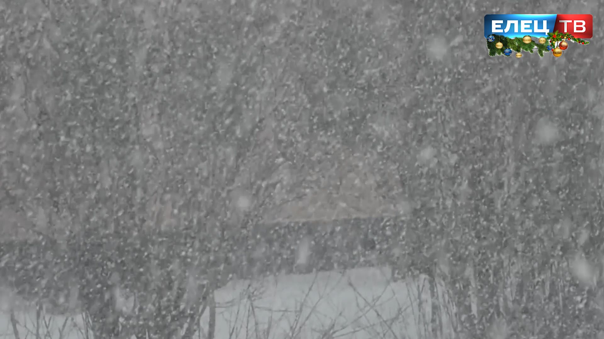 На Липецкую область надвигается метель