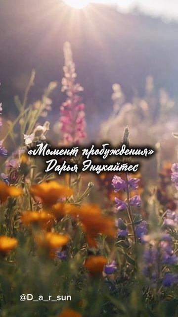Стихотворение "Момент пробуждения" Дарья Энцкайтес