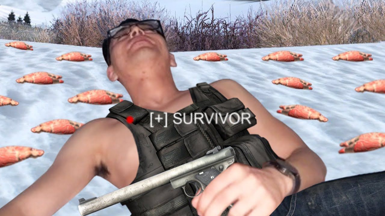 [Stimpee] В DayZ мы все просто мясо