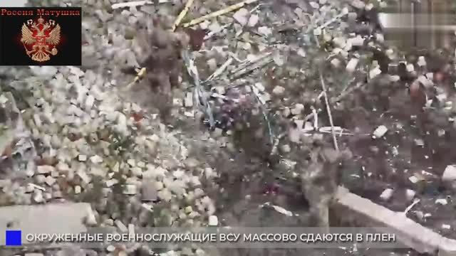 🔴ВСУ массово сдаются в плен в Димитрове🔴