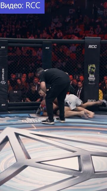 ЛУЧШИЕ МОМЕНТЫ боя Василевского и Рагозина на турнире RCC 24