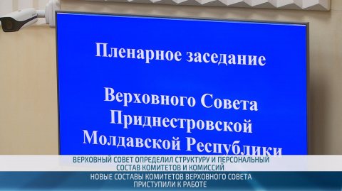 В Верховном Совете нового созыва – 6 комитетов и 3 комиссии – 11.12.2025