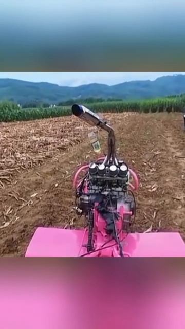 Мотоогородо