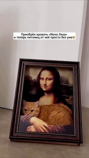 Артикул Яндекс.Маркет: YM10169281 (Не забудь при поиске YM)
Артикул AliExpress: ALI2465548020 (Не за