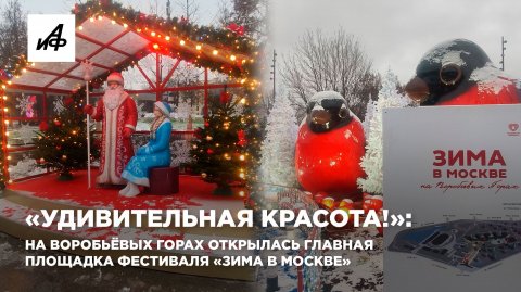 «Удивительная красота!»: на Воробьёвых горах открылась главная площадка фестиваля «Зима в Москве»