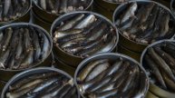 Поддельные шпроты: как распознать настоящий новогодний деликатес