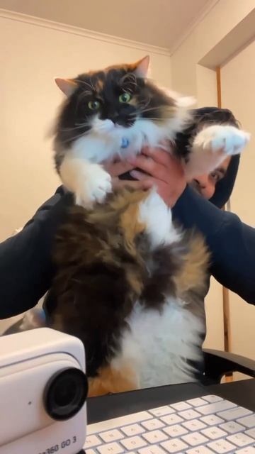 Было - стало