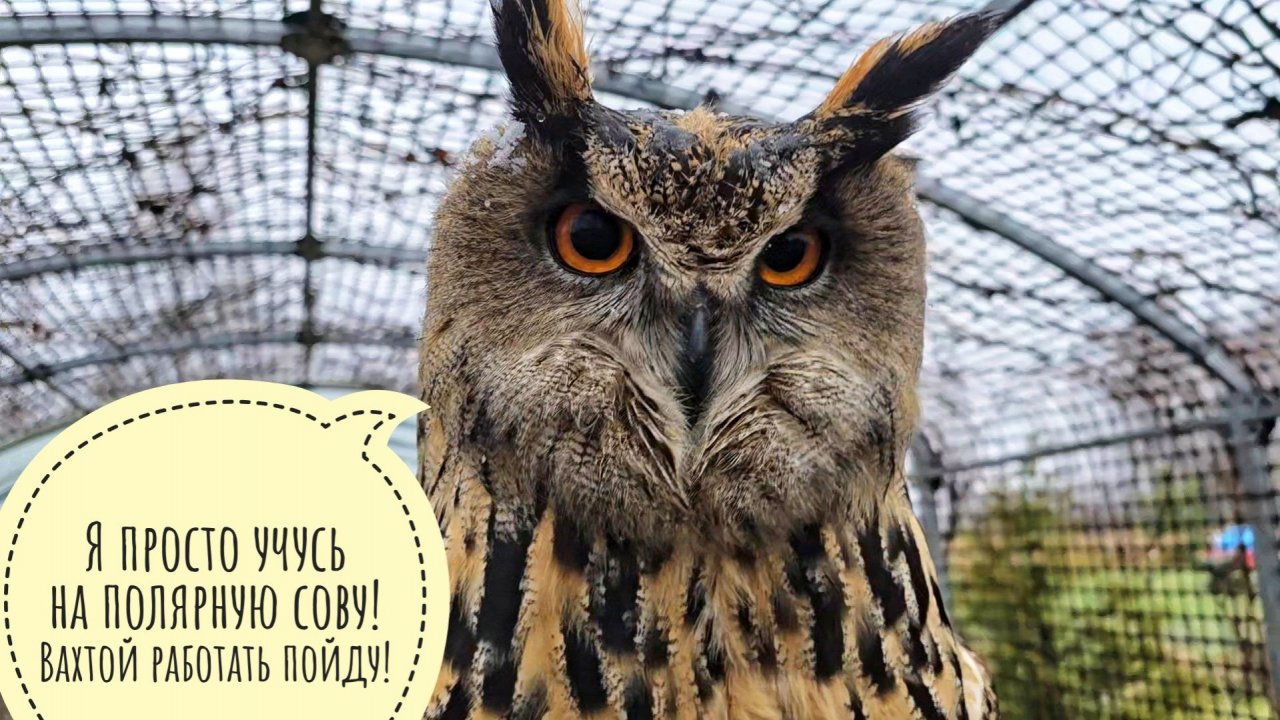 Ливень, снег, лёд, фура переехала нам электричество, интернета нет - ничего необычного, всё штатно